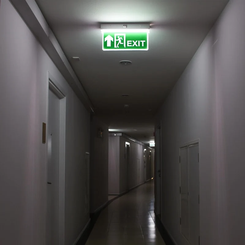 Éclairage de Secours LED 10lm avec Panneau Double Face