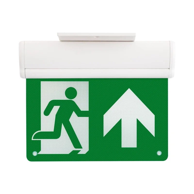 Éclairage de Secours LED 10lm avec Panneau Double Face