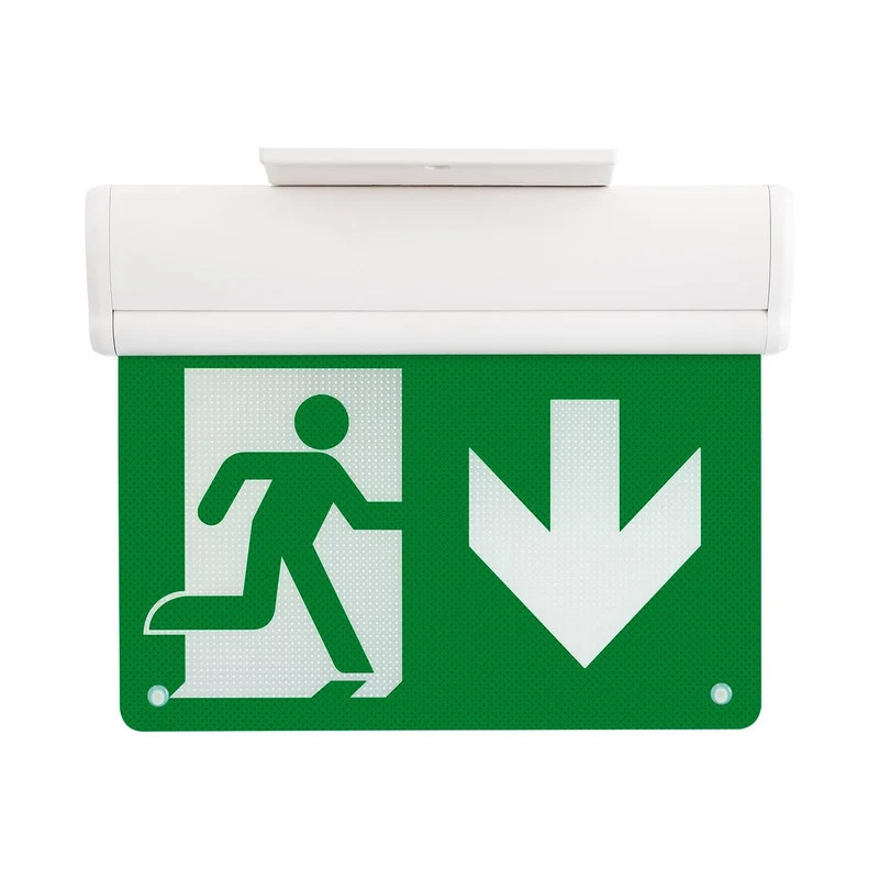 Éclairage de Secours LED 10lm avec Panneau Double Face