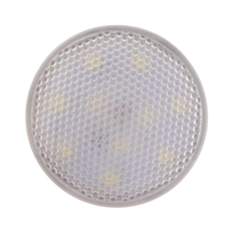 Ampoule LED E27 10 W 900 lm PAR20 IP65