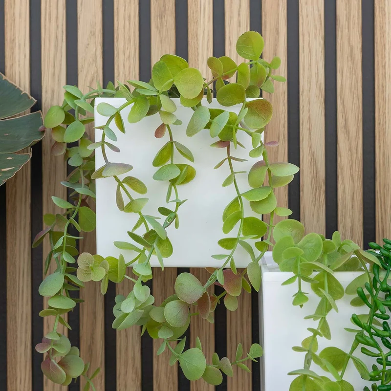 Pack Appliques Murales Solaires WALLY + Pots Muraux | Éclairage et Jardin Vertical Durable