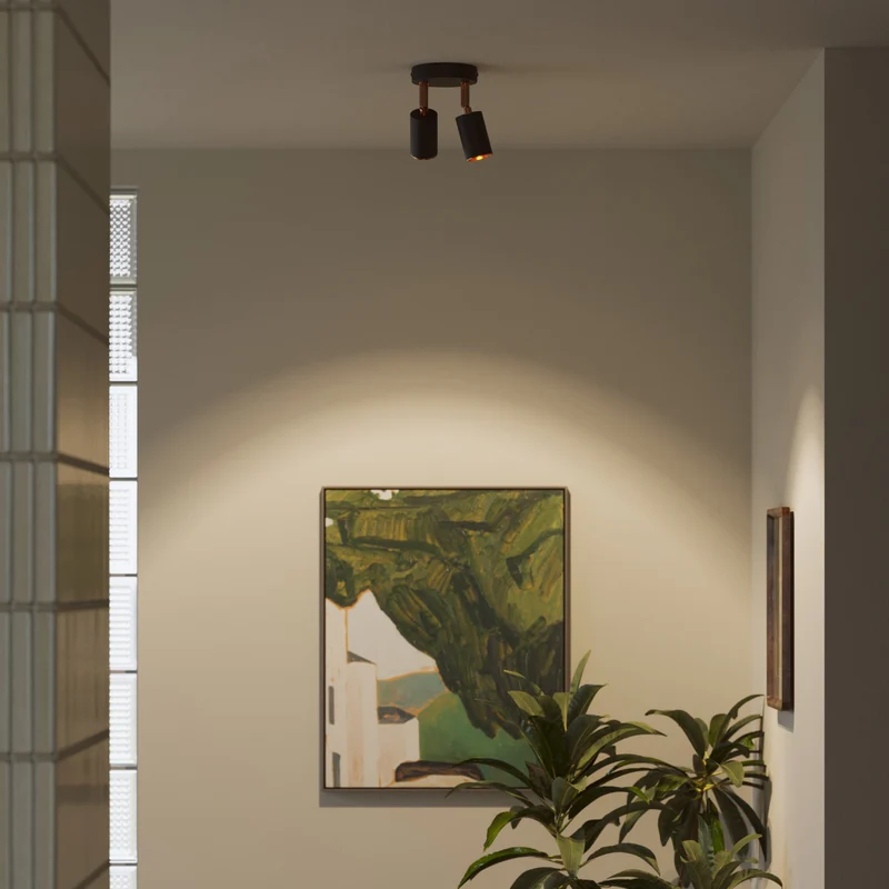 Applique ou plafonnier avec 2 Spots GU10 Bispot orientables - Noir / Cuivre satiné