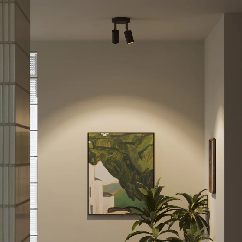 Lampe murale ou de plafond avec 2 Spots GU10 Bispot orientables - Noir