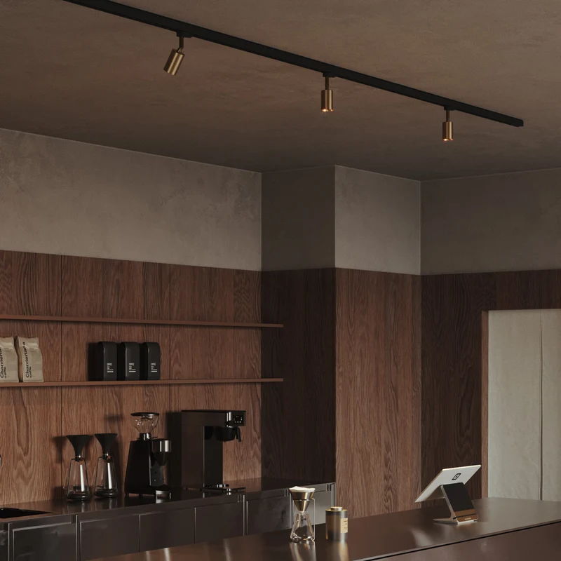 Spot orientable Bispot pour système à rail - Bronze satiné