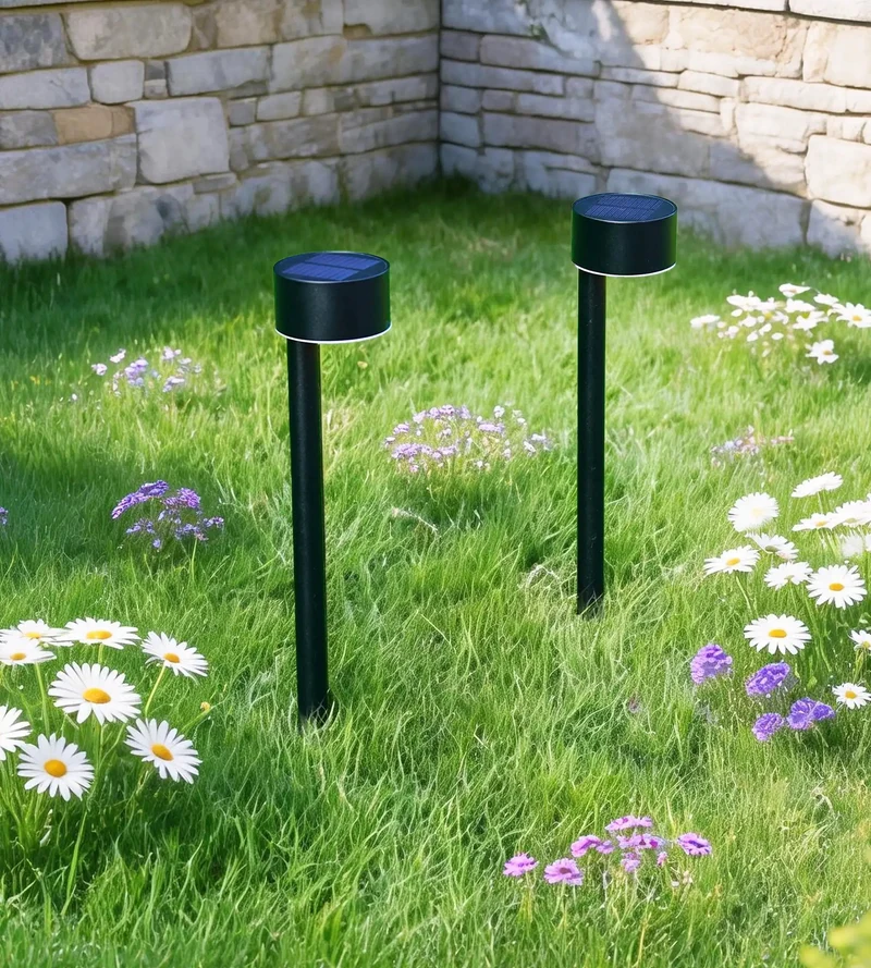 Pack x 2 Balise solaire Led QUEEN 30 cm - À planter - 100 lumens