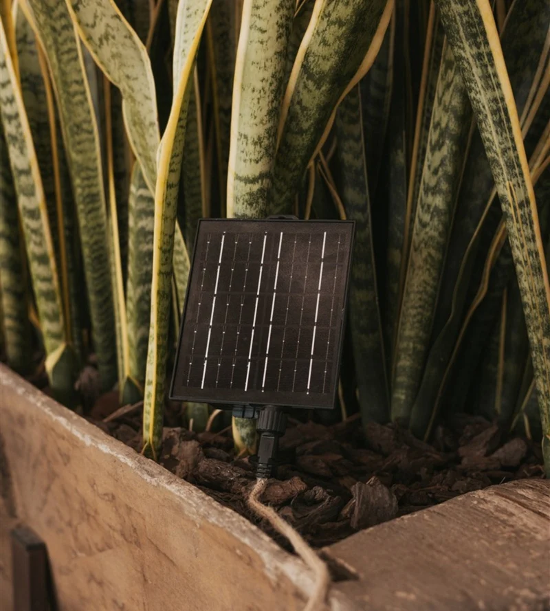 Guirlande lumineuse solaire MARO - Design nature - 10 lampes
