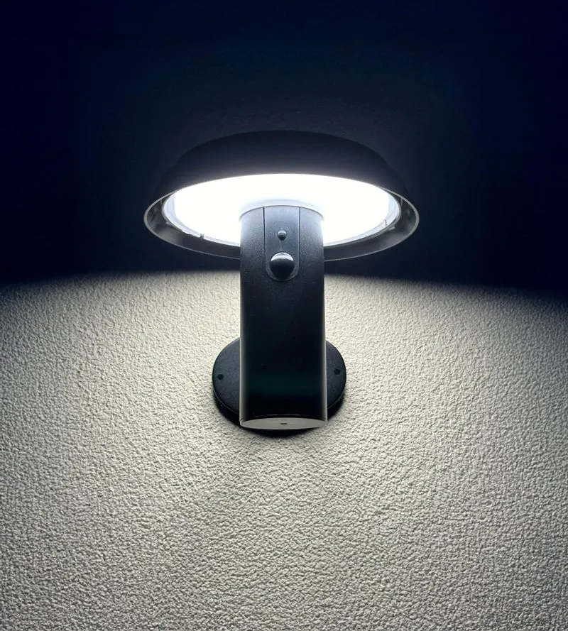 Applique murale solaire extérieure LED NORMAN noire avec détecteur blanc réglable - 3000K à 6500K