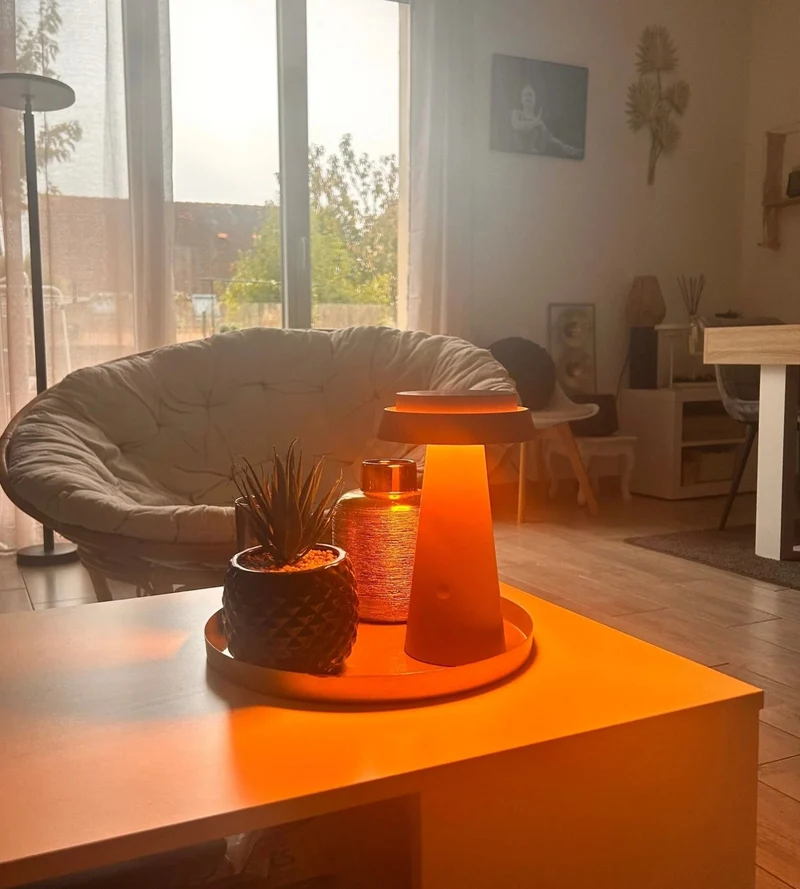 Lampe de table solaire LED ROSA