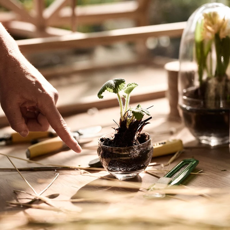 Design House Stockholm Grow Mini Greenhouse