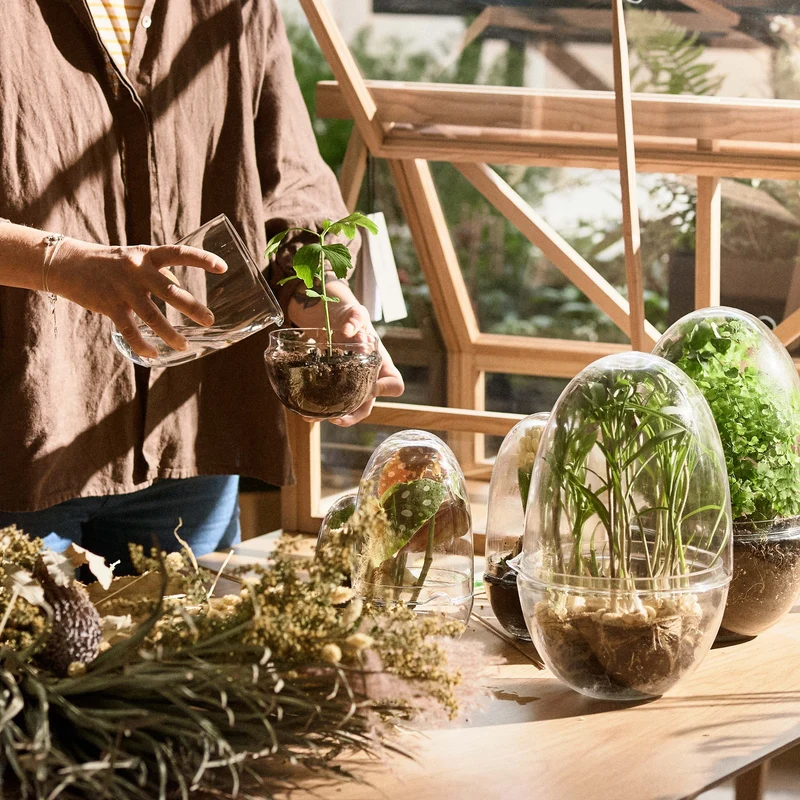 Design House Stockholm Grow Mini Greenhouse