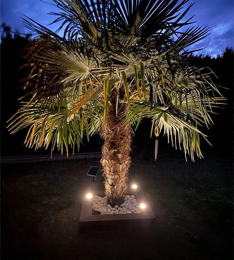 Kit de 3 spots led encastrés solaires inox KIT3–SUN28 - 3 Câbles de 2m - 100 lumens / spot