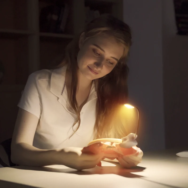 Glocusent Pocket-sized Clip-on Reading Light