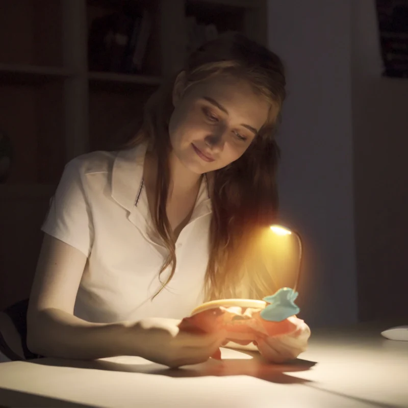 Glocusent Pocket-sized Clip-on Reading Light