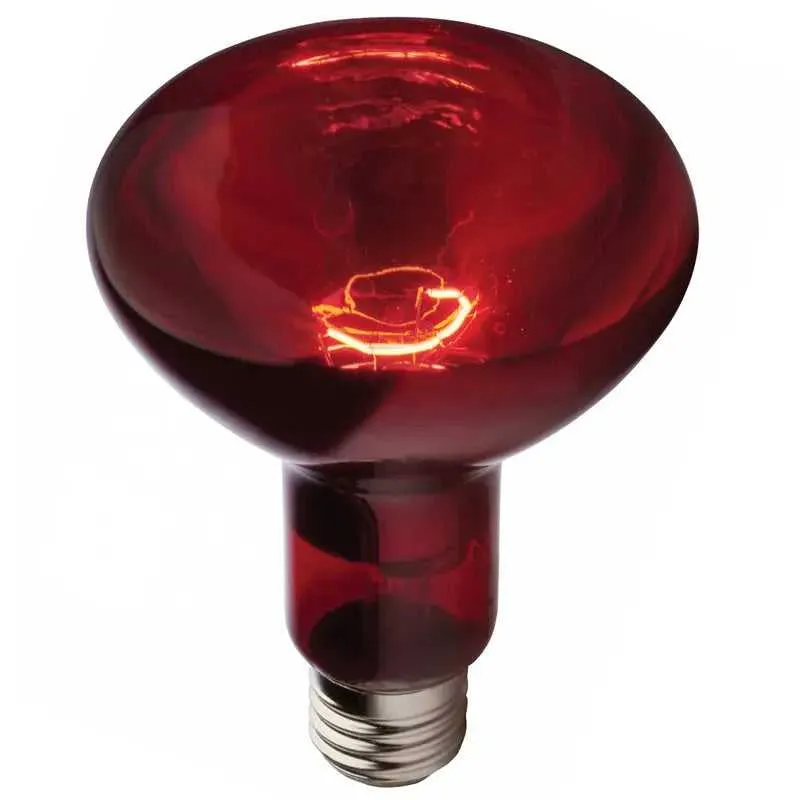 Ampoule Infrarouge Chauffante 250W Philips R125 E27