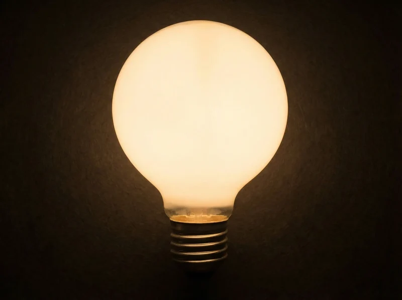 Ampoule globe G95 60W E27 – Verre opalin à incandescence