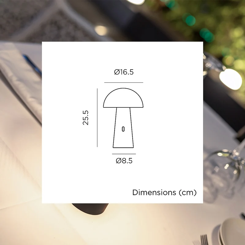 LAMPES DE TABLE NOËL SHITAKE