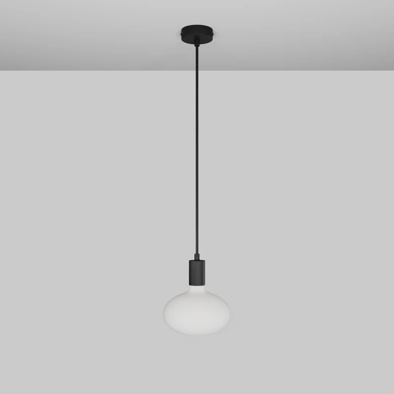 Suspension avec Ampoule LED Ellipse effet porcelaine - Noir mat