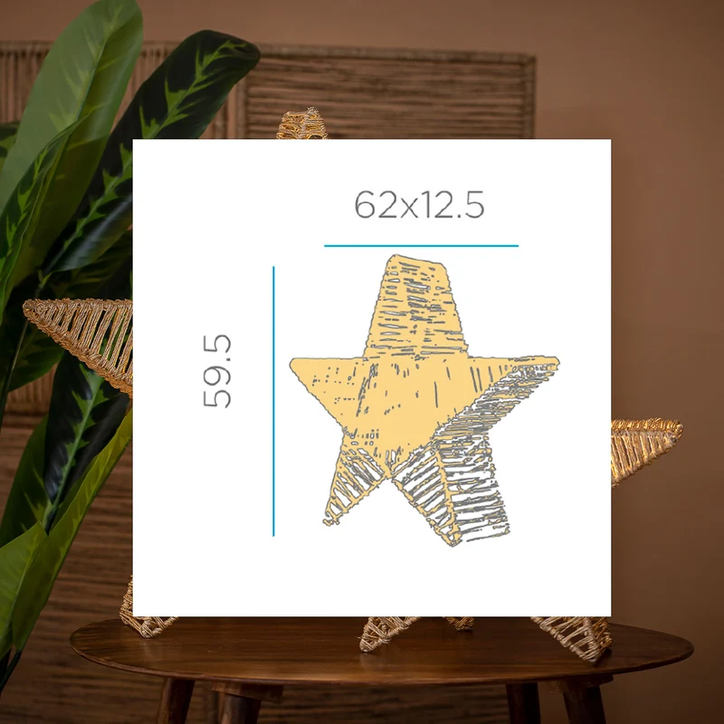 ÉTOILE DÉCORATIVE SISINE STAR 60
