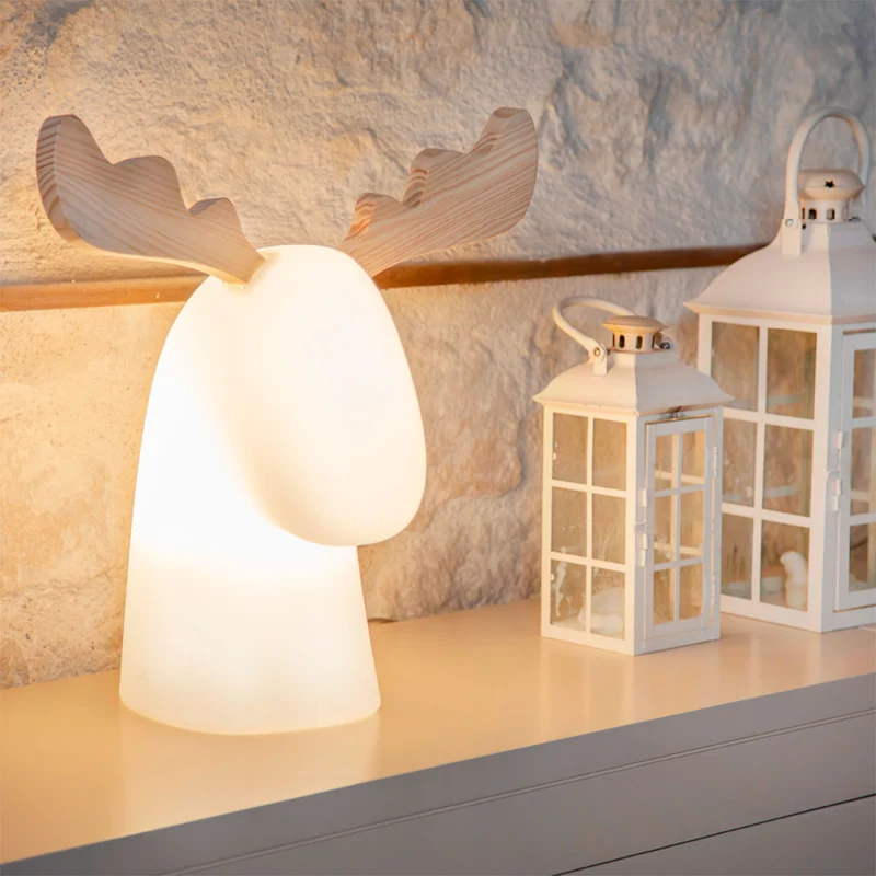 LAMPE RUDY | USAGE INTÉRIEUR