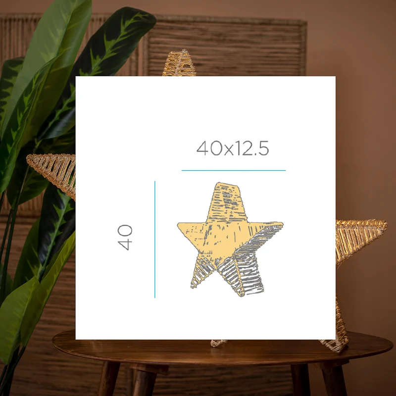 ÉTOILE DÉCORATIVE SISINE STAR 40