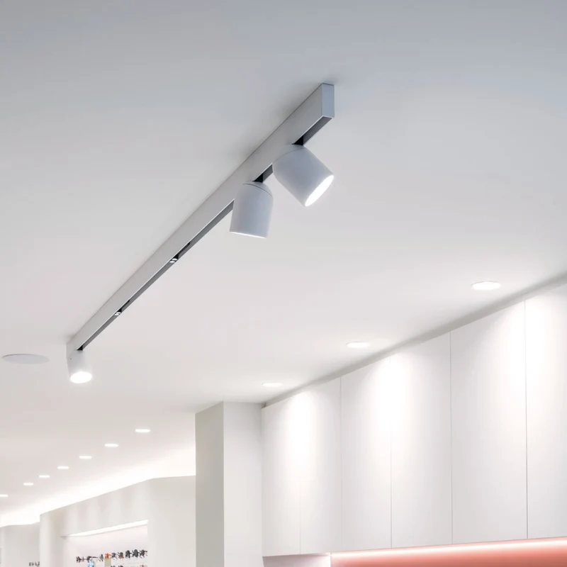 Deltalight Entero RD M LED Recessed Spotlight