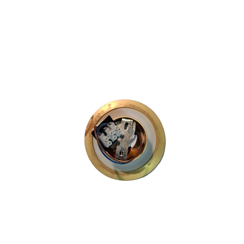 Eno Studio Zenith Wall Lamp (Ø : 12 cm x p : 5.2 cm, Gold) - Second Chance