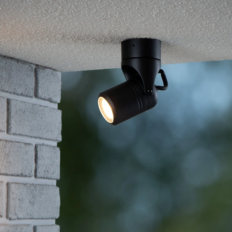 Lucide Niort Outdoor Ceiling Spot