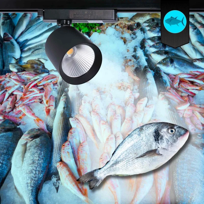 Spot LED 40W pour rail monophasé - Poissons et fruits de mer