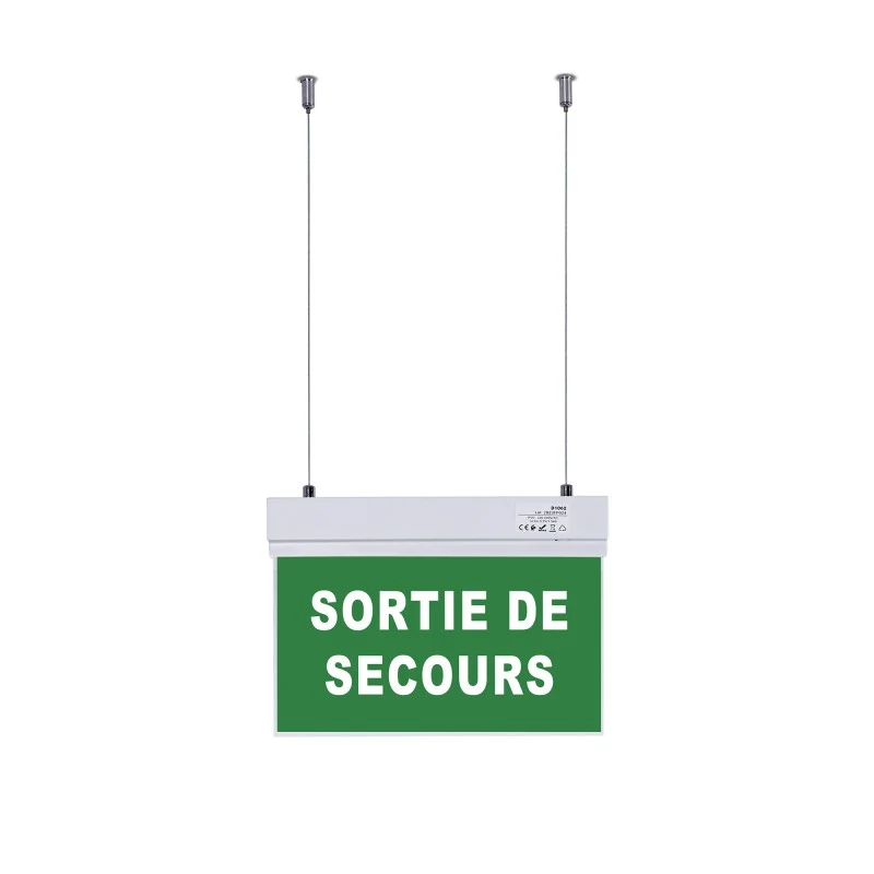 Bloc autonome d'éclairage de sécurité avec panneau "SORTIE DE SECOURS" - Suspension