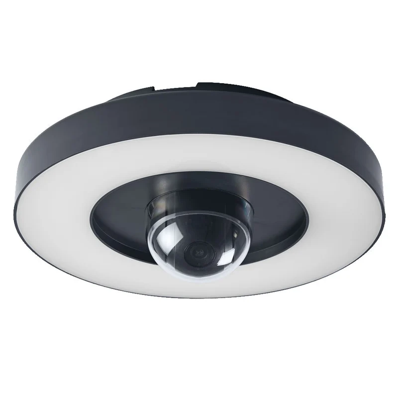 OSRAM SMART+ Applique et plafonnier extérieur + caméra, gris