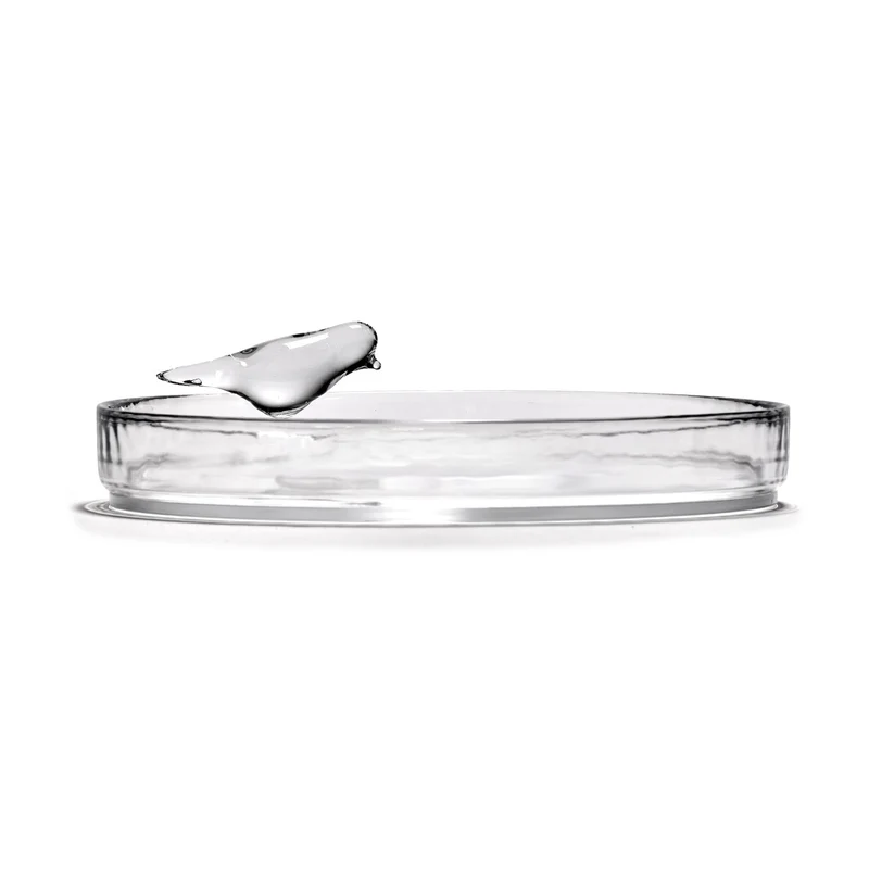Serax Perch Tray by Kelly Wearstler