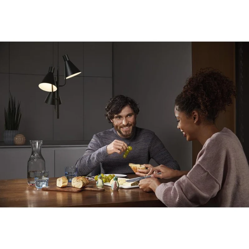 OSRAM DECOR Suspension Tokio, noir, 14W, 1260lm