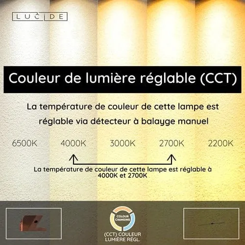 Long Luminaire Mural Tube