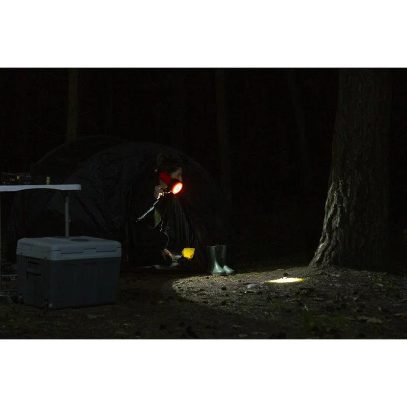 LEDVANCE FLASHLIGHT Lampe torche à éclairage latéral, 300 lm, 6500 K, blanc froid