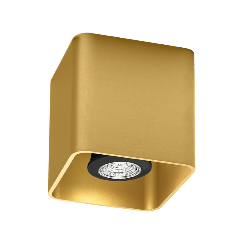 Wever & Ducré Docus PAR16 Ceiling Lamp