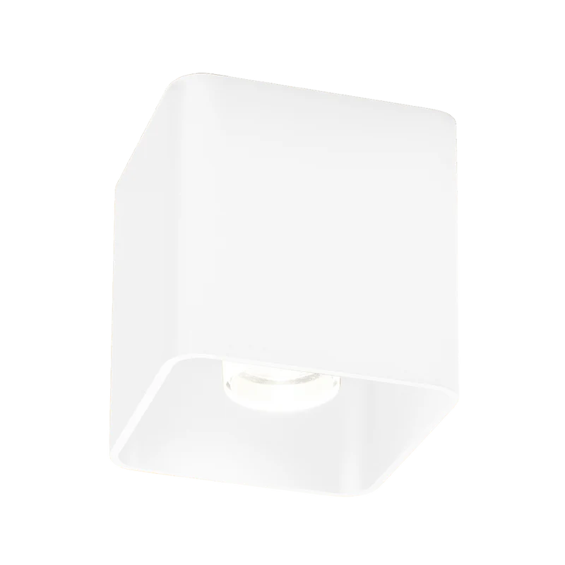 Wever & Ducré Docus LED 1.0 Ceiling Lamp