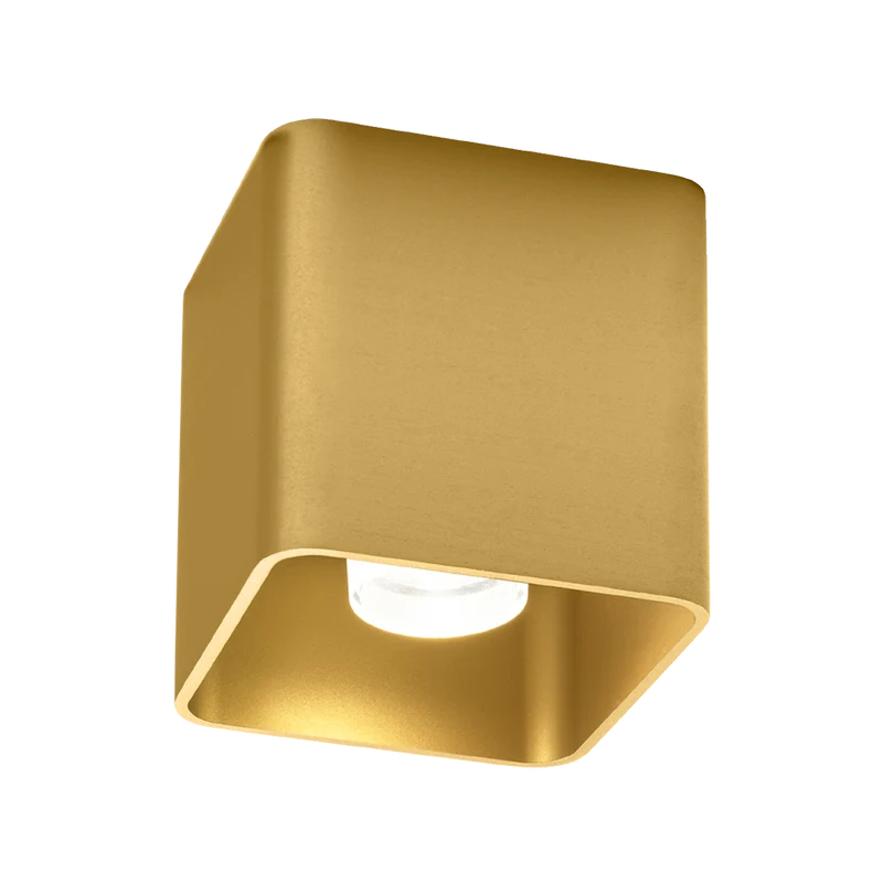 Wever & Ducré Docus LED 1.0 Ceiling Lamp