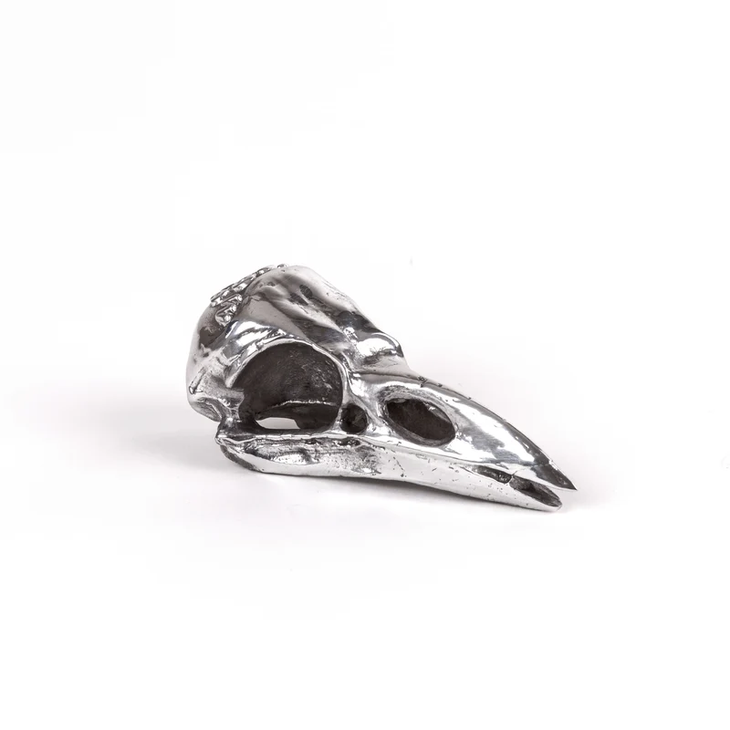 Seletti Diesel Wunderkammer Crow Up