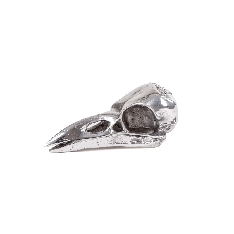 Seletti Diesel Wunderkammer Crow Up
