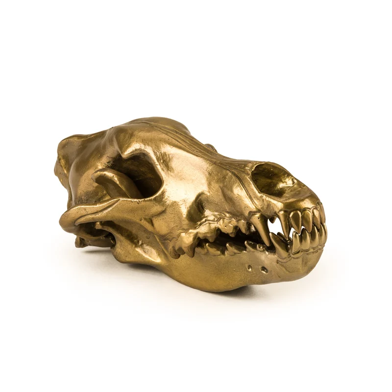 Seletti Diesel Wunderkammer Wolf Skull