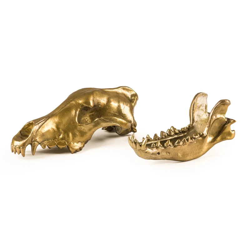 Seletti Diesel Wunderkammer Wolf Skull