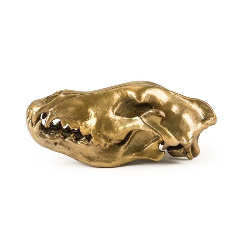 Seletti Diesel Wunderkammer Wolf Skull