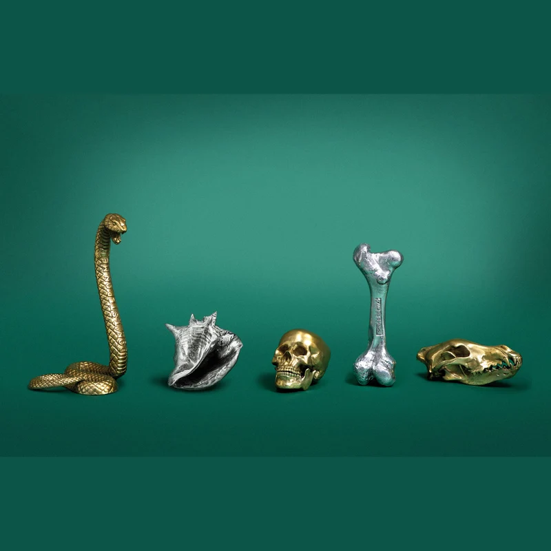 Seletti Diesel Wunderkammer Snake