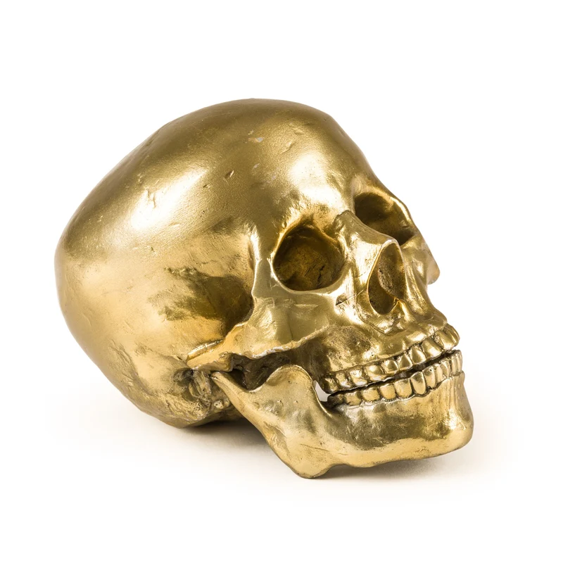 Seletti Diesel Wunderkammer Human Skull