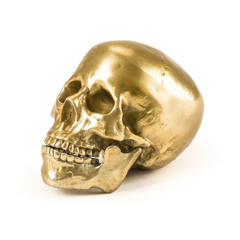 Seletti Diesel Wunderkammer Human Skull