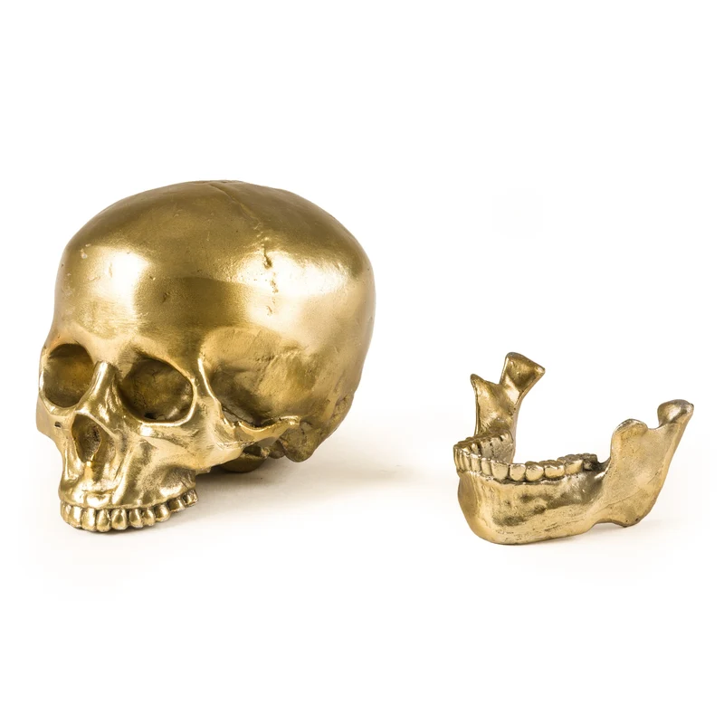 Seletti Diesel Wunderkammer Human Skull