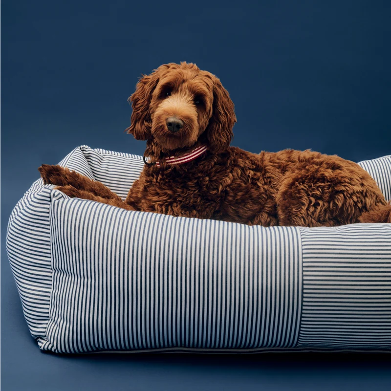 Hay Dogs Bed Zip