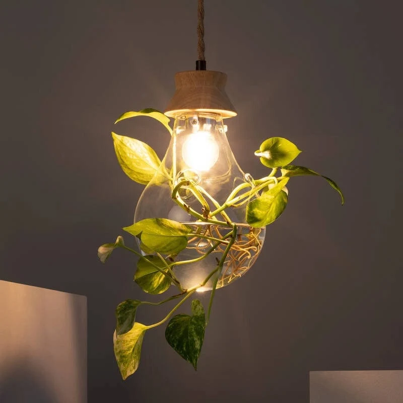 Suspension ampoule fausse plante et verre