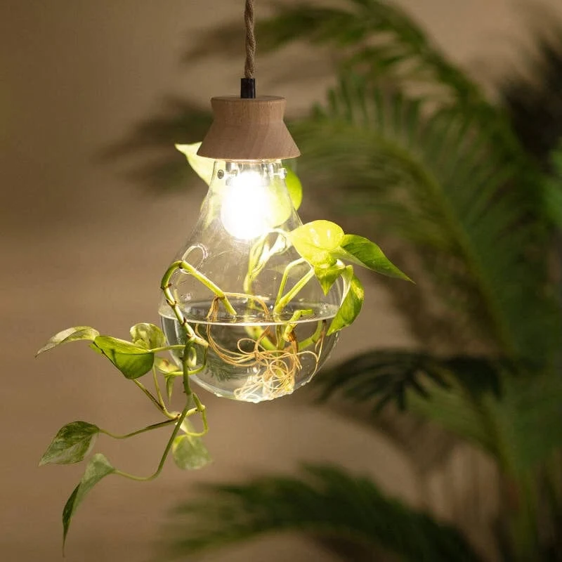 Suspension ampoule fausse plante et verre
