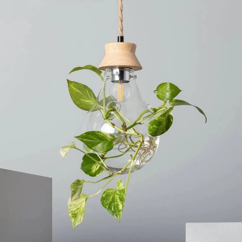 Suspension ampoule fausse plante et verre